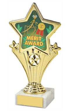 Fun Star Award - Merit Award Gold 18cm