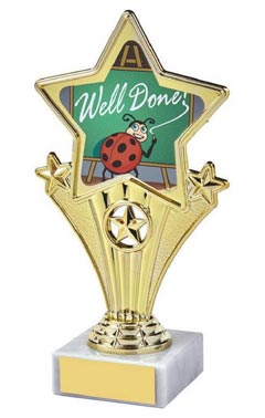Fun Star Award - Well Done Gold 18cm