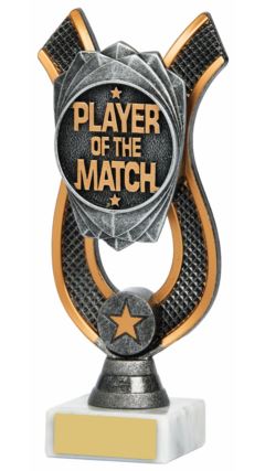 Player of the Match Award Ant Silver 18cm