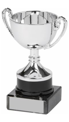 Silver Cup Award Silver 10cm