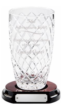 24% Lead Crystal Vase with Panel on Wood Base Clear 21.5cm