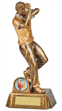 Resin Cricket Male Bowler Award Ant Gold 19cm