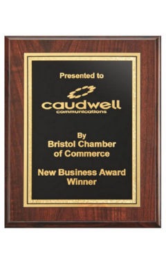 Presentation Corporate Plaque Dark Wood 20cm