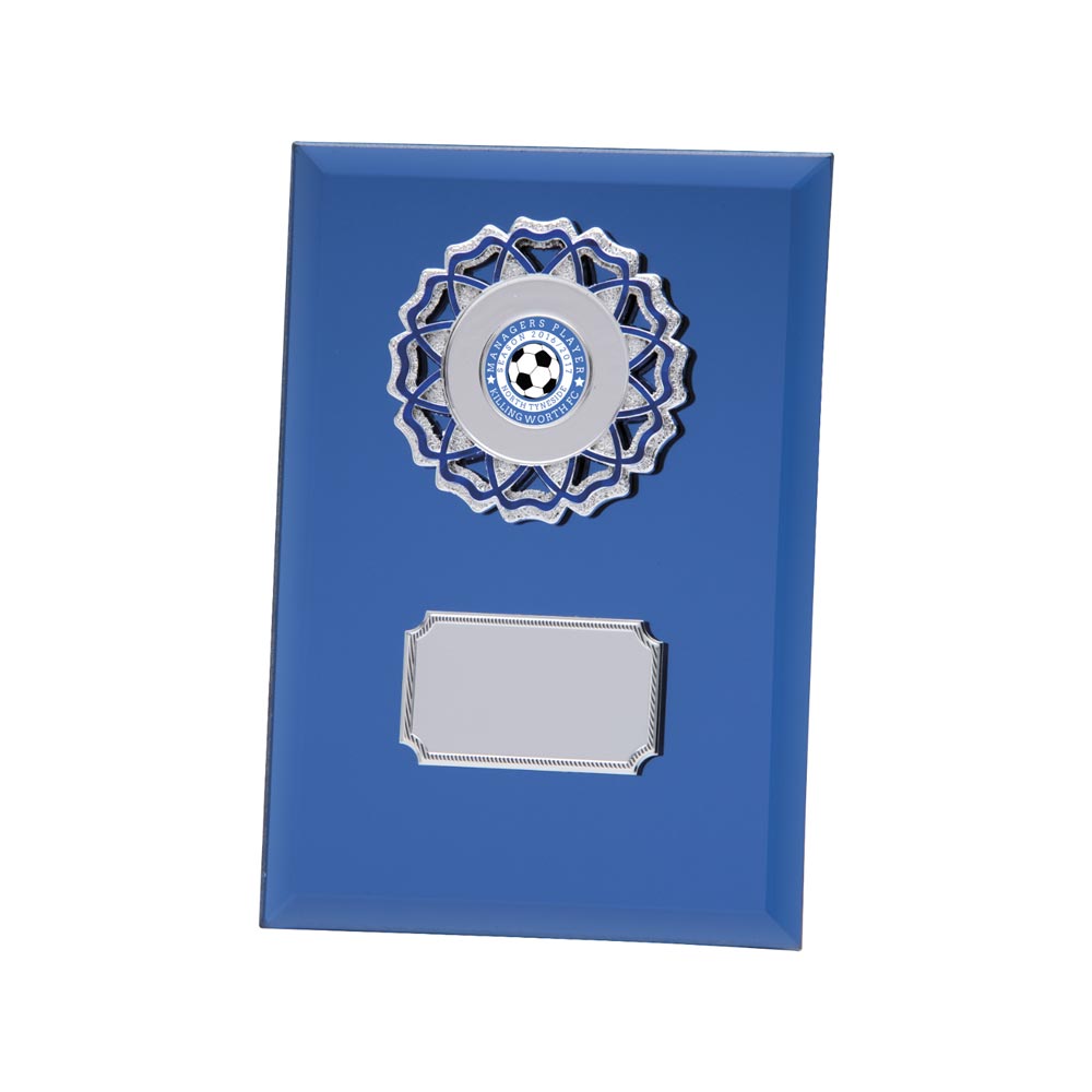 Mirage Multisport Mirror Plaque Blue 180mm