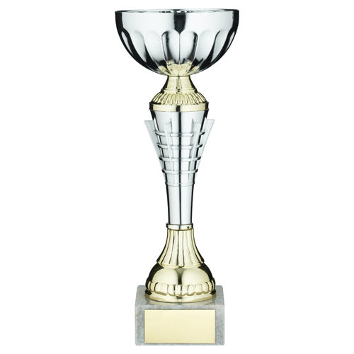 Silv/Gold Spiro Trophy Cup With Plate - 7.5In