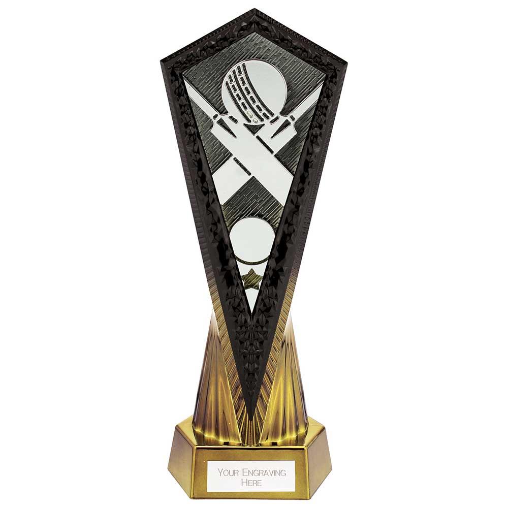 Inferno Cricket Award Carbon Black & Fusion Gold 270mm