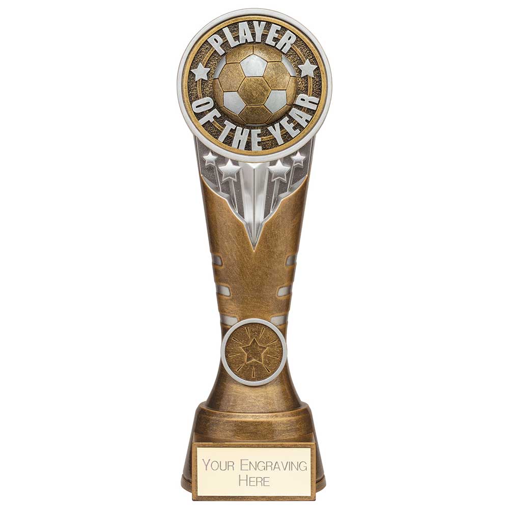 Ikon Tower Player of the Year Award Antique Silver & Gold 225mm