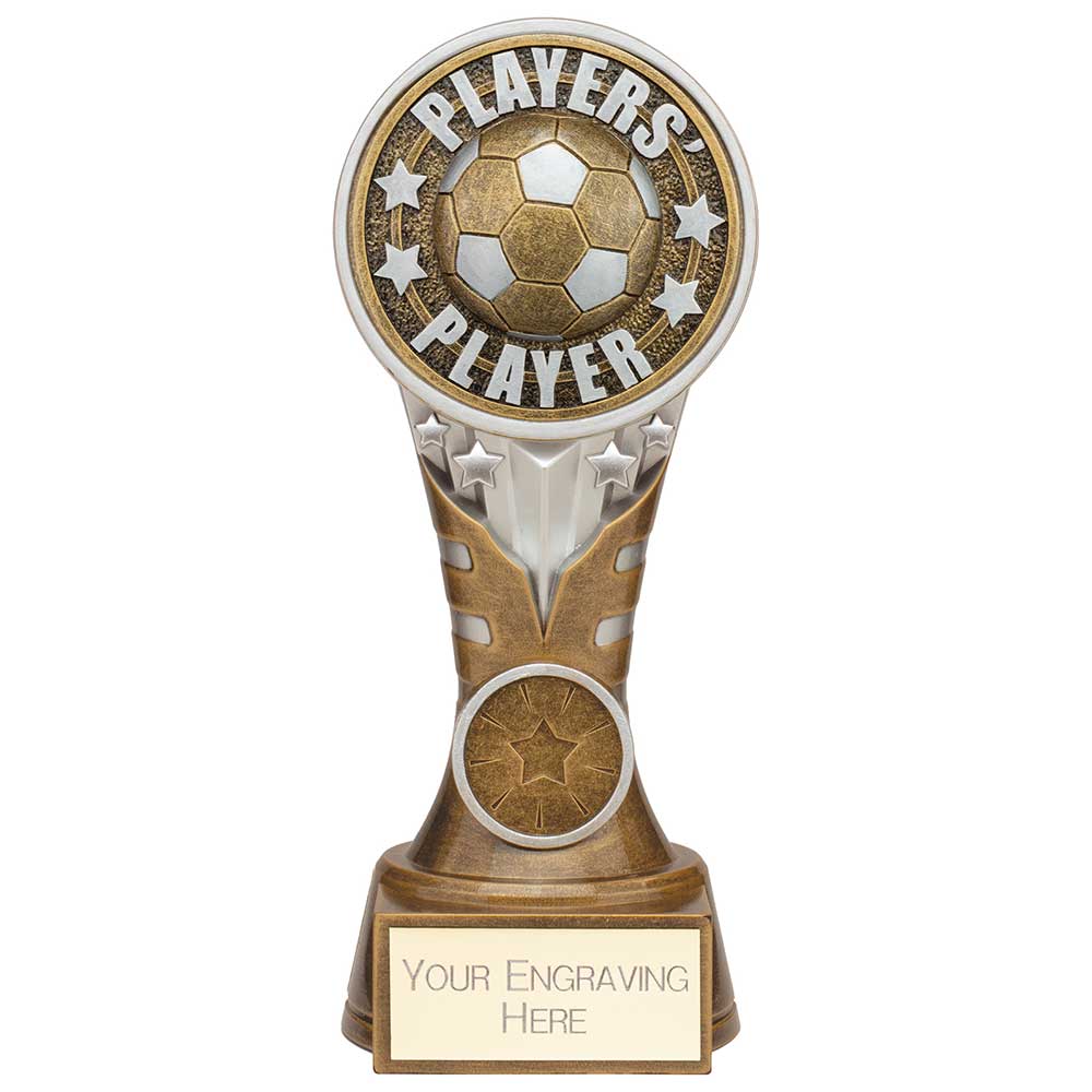 Ikon Tower Players Player Award Antique Silver & Gold 175mm