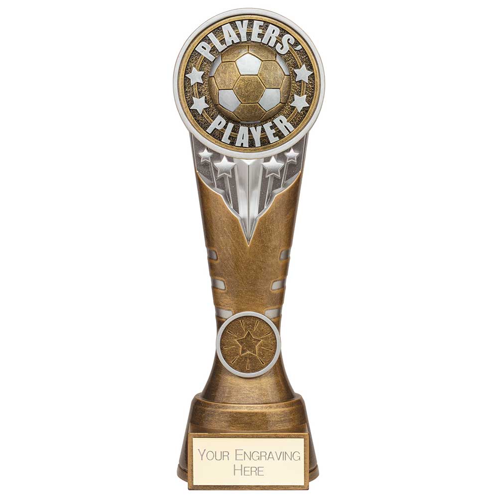 Ikon Tower Players Player Award Antique Silver & Gold 225mm