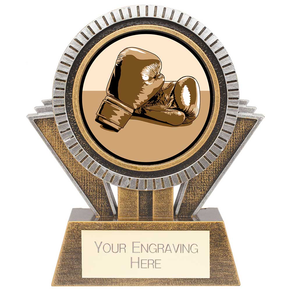 Apex Boxing Award Gold & Silver 130mm