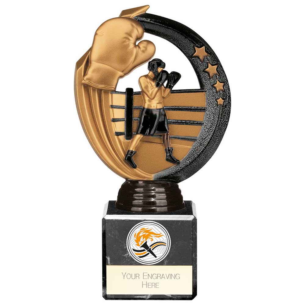 Renegade Legend Boxing Award Black 175mm