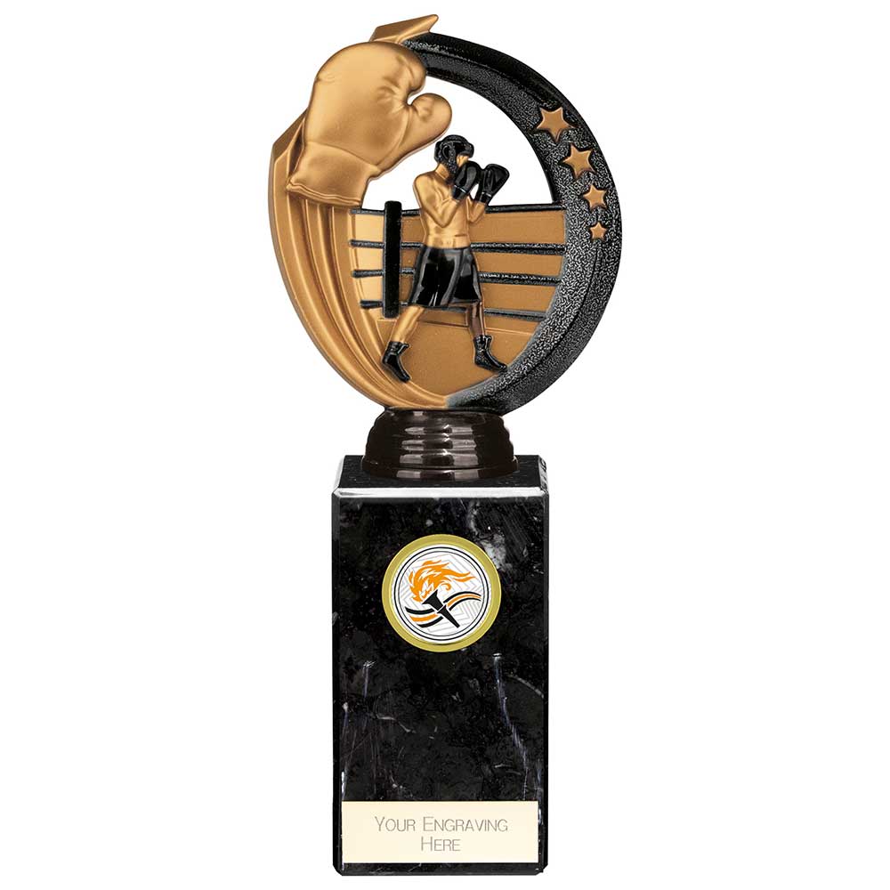 Renegade Legend Boxing Award Black 225mm