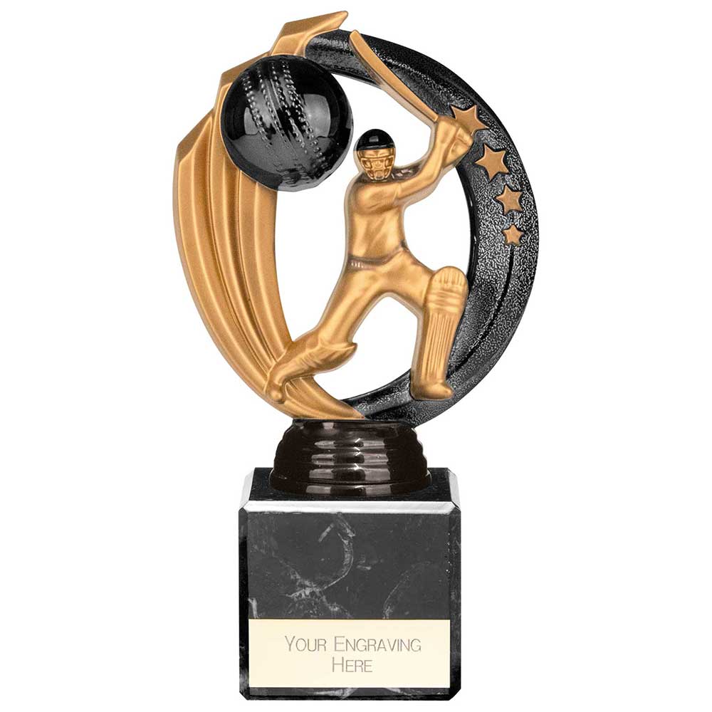 Renegade Legend Cricket Award Black 175mm