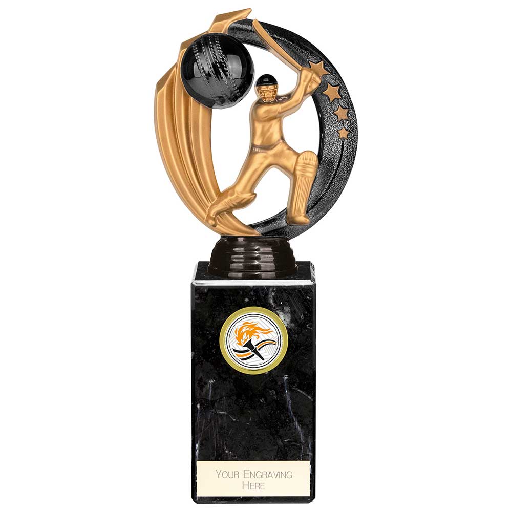 Renegade Legend Cricket Award Black 225mm