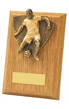Male Footballer Wood Plaque Award Light Oak 13cm