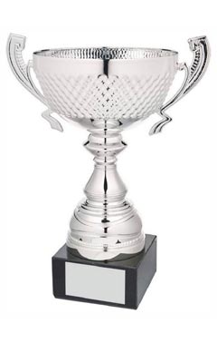 Silver Presentation Cup With Handles Silver 30cm