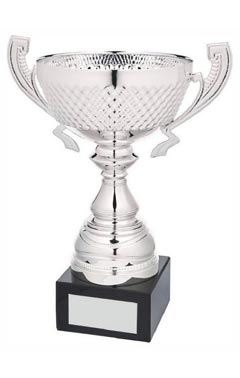 Silver Presentation Cup With Handles Silver 27cm