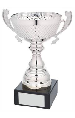 Silver Presentation Cup With Handles Silver 23.5cm