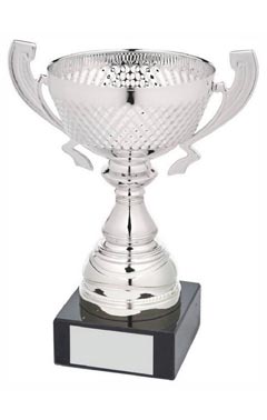 Silver Presentation Cup With Handles Silver 20cm