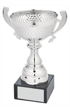 Silver Presentation Cup With Handles Silver 17.5cm