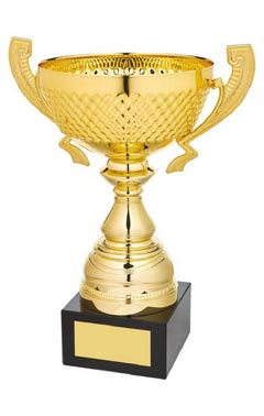 Gold Presentation Cup with Handles Gold 27cm