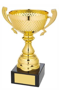 Gold Presentation Cup with Handles Gold 23.5cm