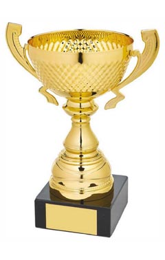 Gold Presentation Cup with Handles Gold 20cm