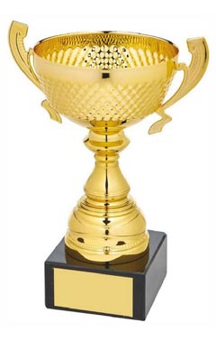 Gold Presentation Cup with Handles Gold 17.5cm