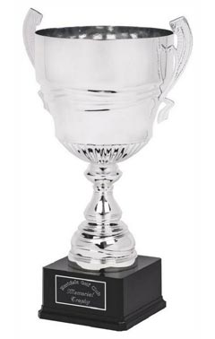 Silver Presentation Cup with Handles Silver 54cm