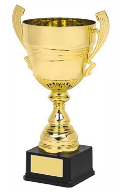 Gold Presentation Cup with Handles Gold 48cm