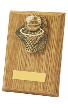 Wood Plaque with Resin Netball Trim Light Oak 15cm