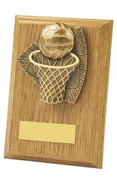 Wood Plaque with Resin Netball Trim Light Oak 13cm