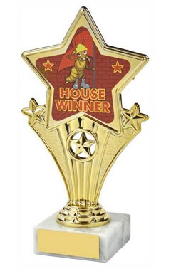 Fun Star Award - House Winner (Red) Gold 18cm