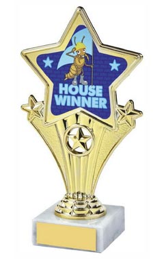 Fun Star Award - House Winner (Blue) Gold 18cm