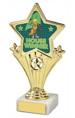 Fun Star Award - House Winner (Green) Gold 18cm