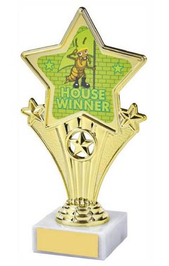 Fun Star Award - House Winner (Yellow) Gold 18cm