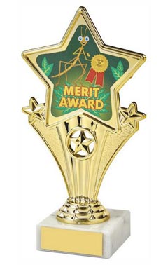 Fun Star Award - Merit Award Gold 18cm