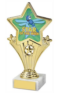 Fun Star Award - Star of the Week Gold 18cm