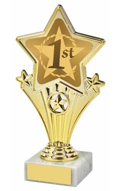 Fun Star Award - 1st Gold 18cm