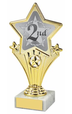 Fun Star Award - 2nd Gold 18cm