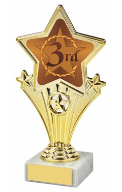 Fun Star Award - 3rd Gold 18cm