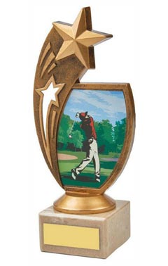 Male Golf Star Holder Award Ant Gold 18.5cm