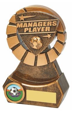 Managers Player Resin Award Ant Gold 14cm