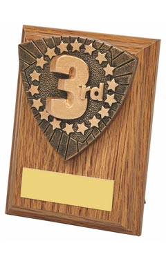 Wood Plaque with 3rd Place Resin Trim Light Oak 10cm