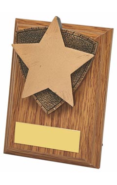 Wood Plaque with Resin Star Trim Light Oak 10cm