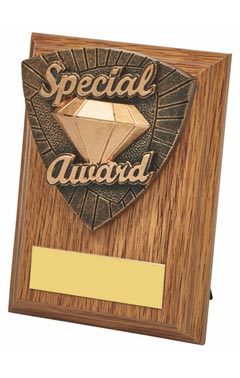 Wood Plaque with Resin Special Award Trim Light Oak 10cm