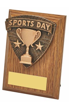 Wood Plaque with Resin Sports Day Trim Light Oak 10cm