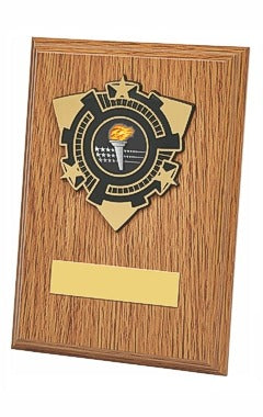 Light Oak Wood Plaque Award Light Oak 15cm