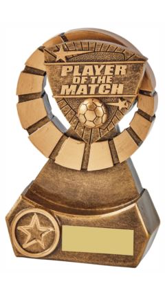 Player of the Match Resin Award Ant Gold 14cm