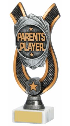 Parents Player Award Ant Silver 18cm